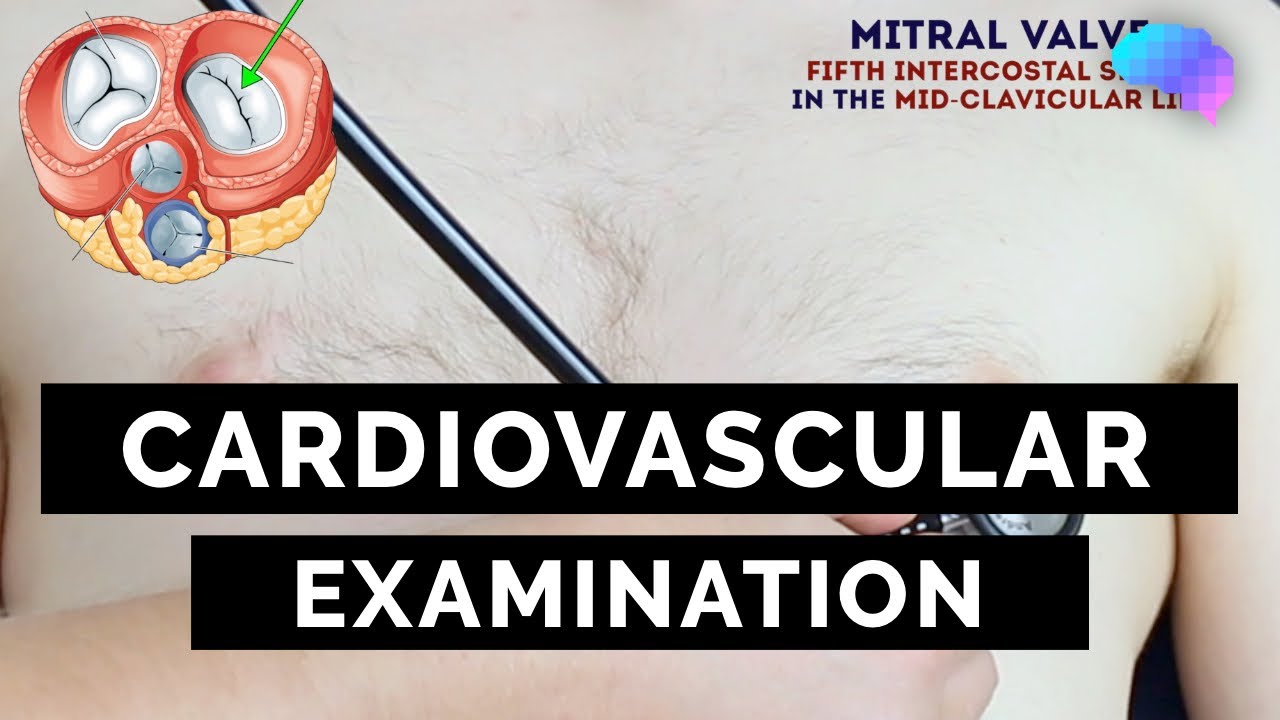 Mastering the Cardiovascular Exam: A Geeky Medics OSCE Guide